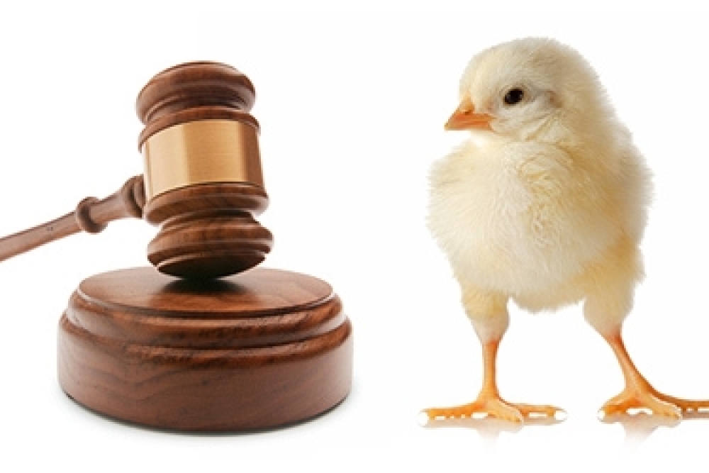 3285 SAYILI HAYVAN SAĞLIĞI VE ZABITASI KANUNUNUN 4 ÜNCÜ MADDESİNE GÖRE TESPİT EDİLEN İHBARI MECBURİ HASTALIKLAR HAKKINDA TEBLİĞ