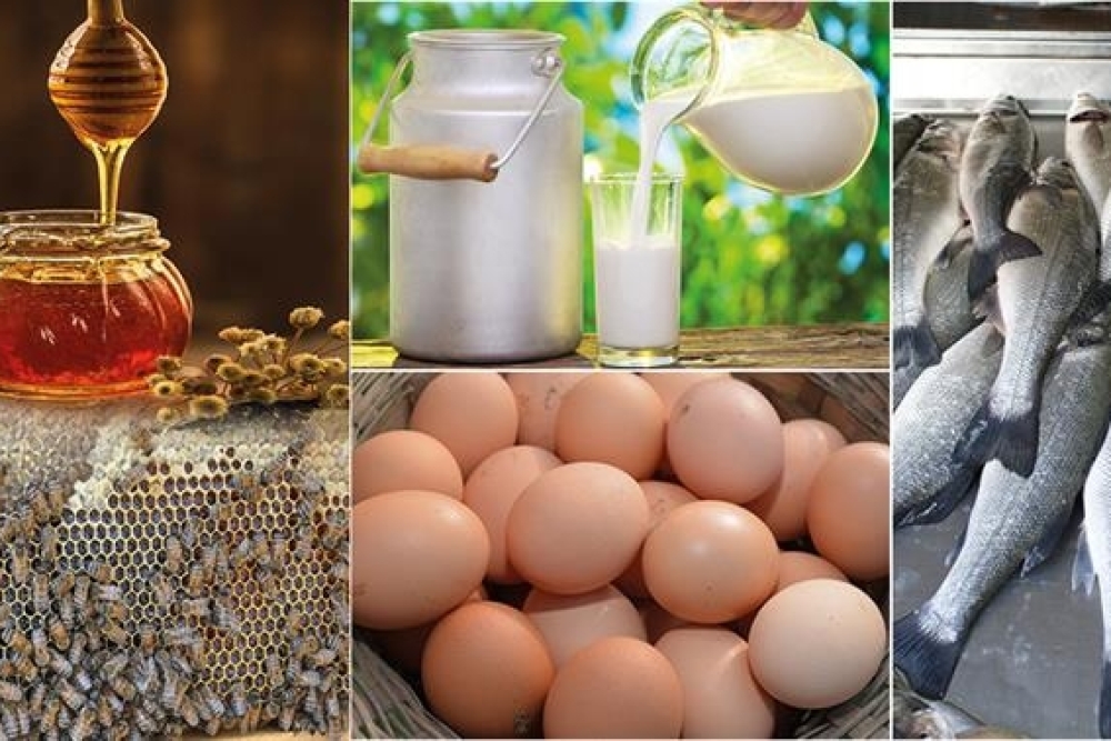 CANLI HAYVANLAR VE HAYVANSAL ÜRÜNLERDE BELİRLİ MADDELER İLE BUNLARIN KALINTILARININ İZLENMESİ İÇİN ALINACAK ÖNLEMLERE DAİR YÖNETMELİK