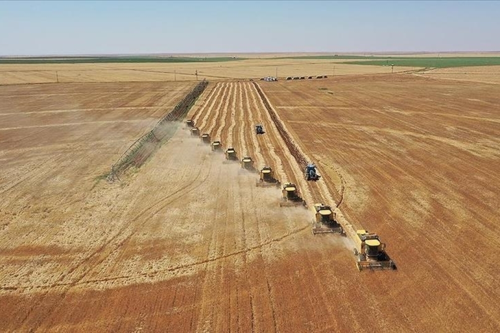 TARIM VE KIRSAL KALKINMAYI DESTEKLEME KURUMU KURULUŞ VE GÖREVLERİ HAKKINDA KANUN