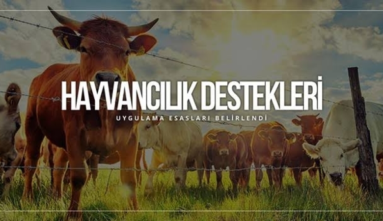 HAYVANCILIK DESTEKLEMELERİ HAKKINDA UYGULAMA ESASLARI TEBLİĞİ (NO: 2016/26)