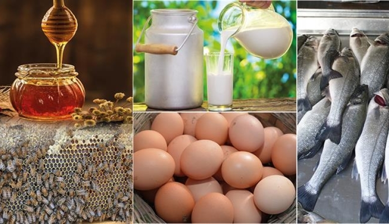 CANLI HAYVANLAR VE HAYVANSAL ÜRÜNLERDE BELİRLİ MADDELER İLE BUNLARIN KALINTILARININ İZLENMESİ İÇİN ALINACAK ÖNLEMLERE DAİR YÖNETMELİK