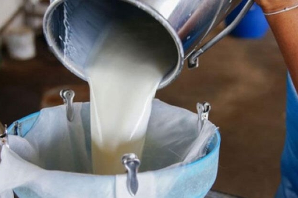 SUNİ TOHUMLAMA UYGULAMALARINDA IRK UYUM ŞARTI KALDIRILMIŞTIR.