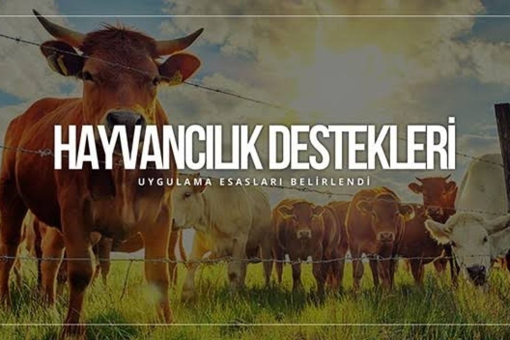HAYVANCILIK DESTEKLEMELERİ HAKKINDA UYGULAMA ESASLARI TEBLİĞİ (NO: 2016/26)