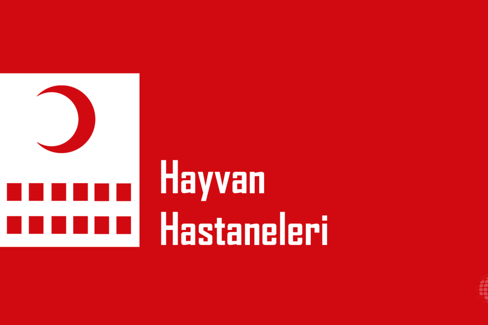 HAYVAN HASTANELERİ YÖNETMELİĞİNDE DEĞİŞİKLİK YAPILMASINA DAİR YÖNETMELİK