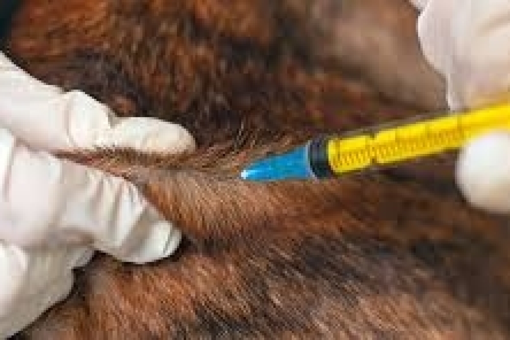 HAYVAN SAĞLIĞI KABİNİ AÇILIŞ, ÇALIŞMA VE DENETLEME USUL VE ESASLARINA DAİR YÖNETMELİK