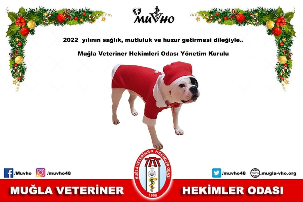 YENİ YİL KUTLAMASI