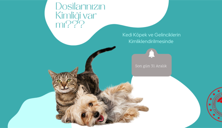 KEDİ, KÖPEK VE GELİNCİKLERİN KİMLİKLENDİRİLMESİ