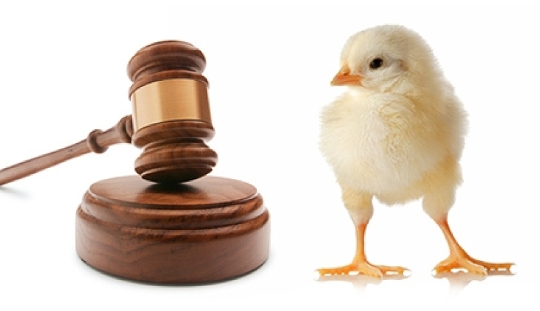 3285 SAYILI HAYVAN SAĞLIĞI VE ZABITASI KANUNUNUN 4 ÜNCÜ MADDESİNE GÖRE TESPİT EDİLEN İHBARI MECBURİ HASTALIKLAR HAKKINDA TEBLİĞ