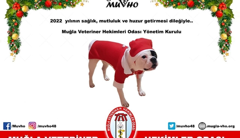 YENİ YİL KUTLAMASI